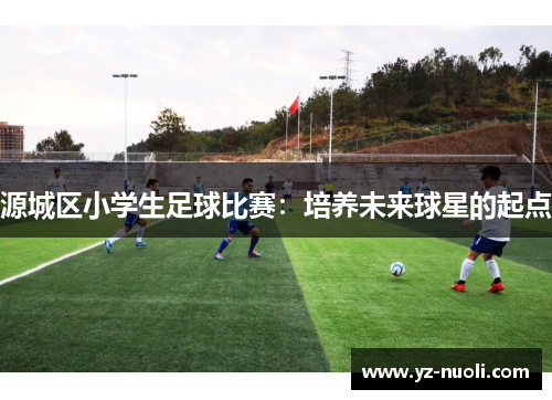 源城区小学生足球比赛：培养未来球星的起点