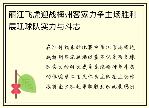 丽江飞虎迎战梅州客家力争主场胜利展现球队实力与斗志