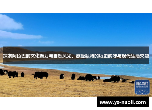 探索阿拉巴的文化魅力与自然风光，感受独特的历史韵味与现代生活交融